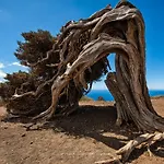 Casa Elba * Isora