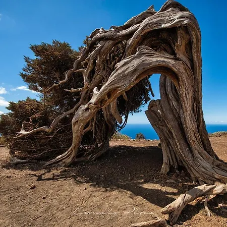 Casa Elba * Isora