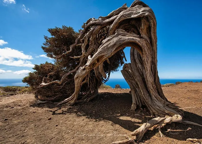 Casa Elba * Isora